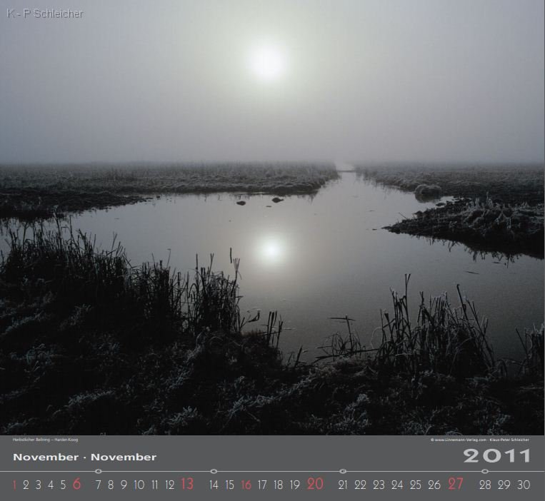 Nordsee 2011.pdf - Foxit Reader_2012-09-13_11-51-55.jpg